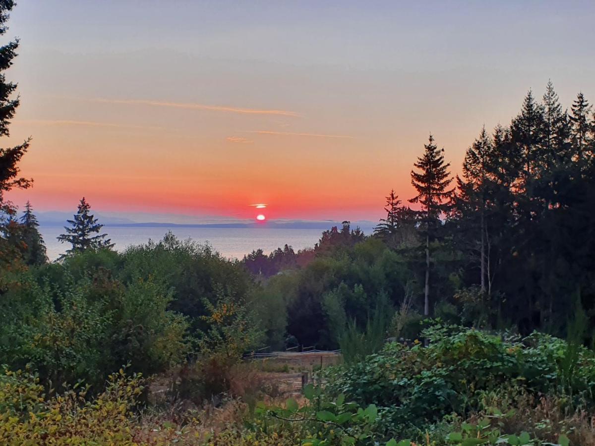 Forest By The Sea Rentals Merville Eksteriør bilde