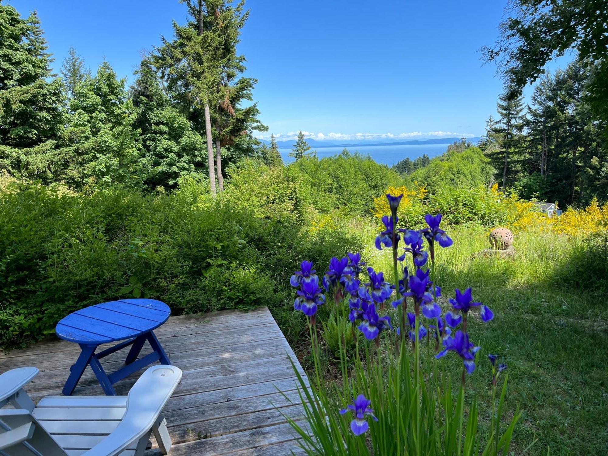 Forest By The Sea Rentals Merville Eksteriør bilde